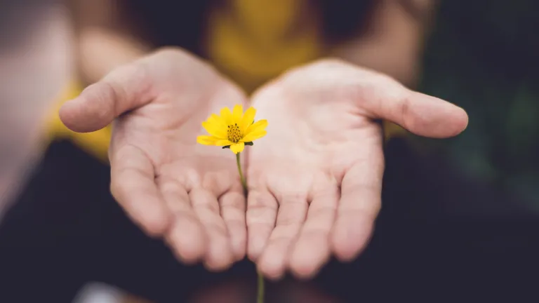 You are not alone in this struggle. a pair of open palms with a yellow flower standing between them, appearing to be cupped in the hands