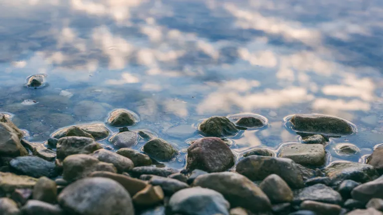 Encourage an open and healing connection with others so they may feel understood and supported. a surface of gray stones slightly covered with water