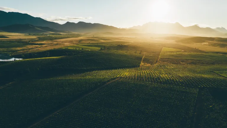 Amid South Africa’s sweeping fields, a deeper conflict brews—over land, legacy, and justice. As nations grapple with history and human rights, only God’s Kingdom promises lasting peace and equality for all. Farmlands in South Africa.