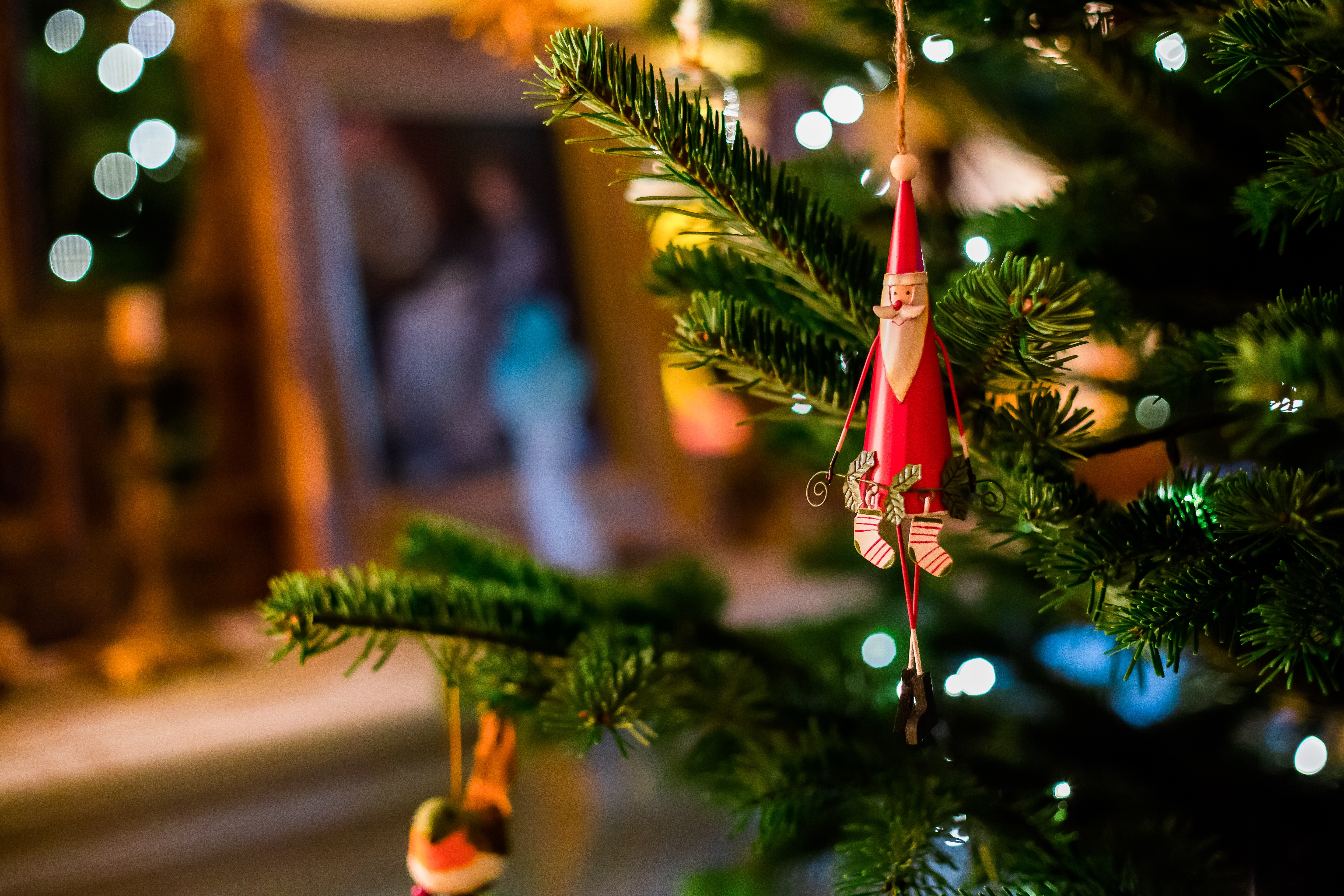 Santa tree. Гирлянда на елку. Новогодняя елка фотосток. Новогоднее праздничное дерево. Новый год подарки елка гирлянда.