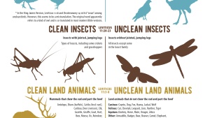 Infographic Clean vs. Unclean Meats