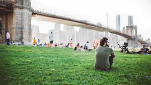 People sitting at a park by a large bridge.