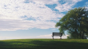 Photo of an empty park bench in a grassy park next to a tree.