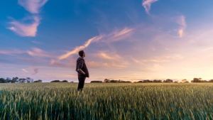 man in wheat field under gorgeous sunset gradient sky looking contemplatively upwards