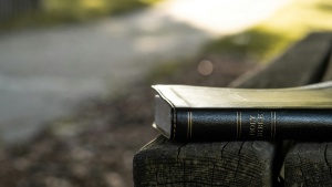 A Bible laying on a park bench.