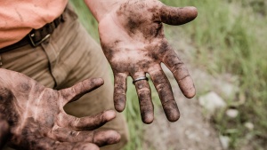 A man's dirty hands from working in the dirt.