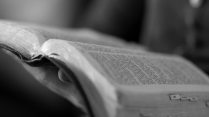 A women reading a Bible.