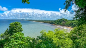 green trees surrounding a blue body of water under a blue and cloudy sky