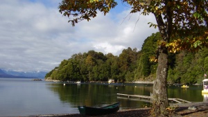 a lake with a canoe floating underneath the shade of a tree with mountains on the distant horizon