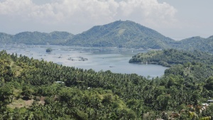 a body of water surrounded by trees