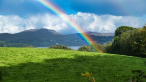 Photo of rainbow over green mountain field.