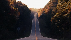 Photo of a long road going into the distance with many large bumps.