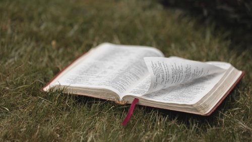 an open Bible sitting in the grass