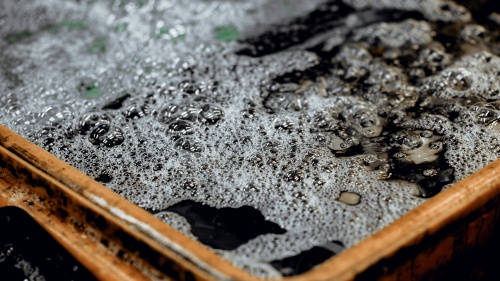 a rusty tub holding dark, bubbly water