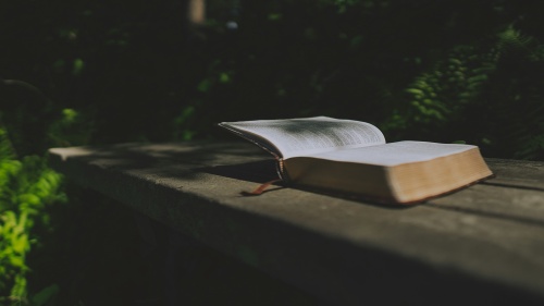 an open Bible on a bench with greenery in the background