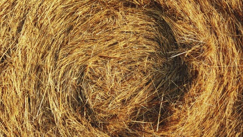 A straw bed.