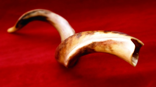 A shofar - ram's horn.