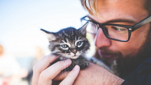 A man wearing glasses holding a kitten close to his face.