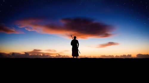 A person looking up into the night sky.