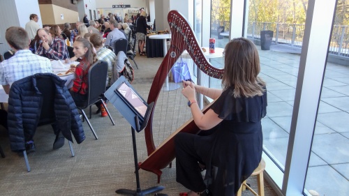 a woman playing the harp