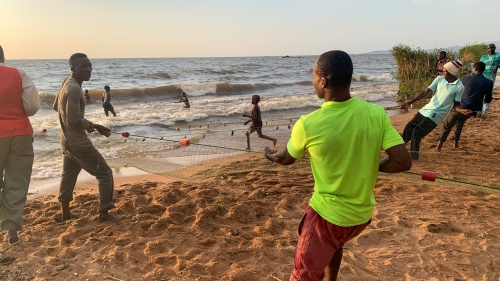 men pulling a fishing net