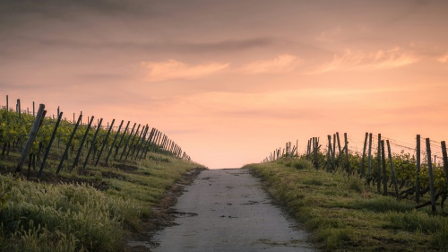 A path that disappears over the horizon unsure of where it will go or end.