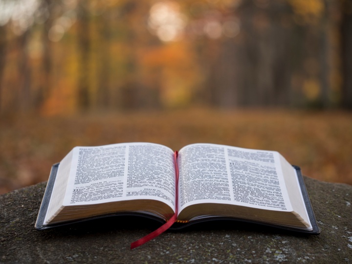 Does the Bible Promote Racism? | United Church of God