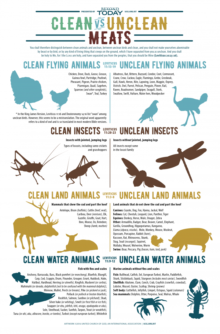 Unclean Meat List