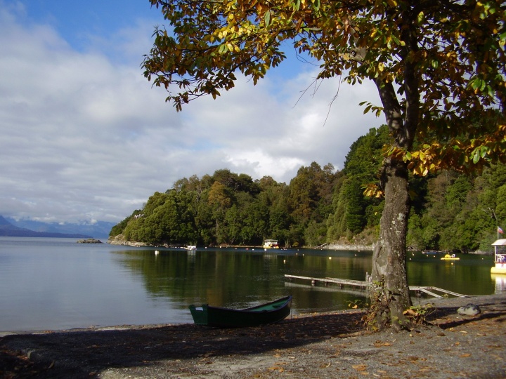 a lake with a canoe floating underneath the shade of a tree with mountains on the distant horizon