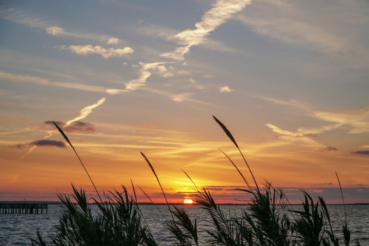 Coastal grass swaying in the early morning breeze at the beach looking out a the sunrise over the ocean with a colorful orange sky with clouds