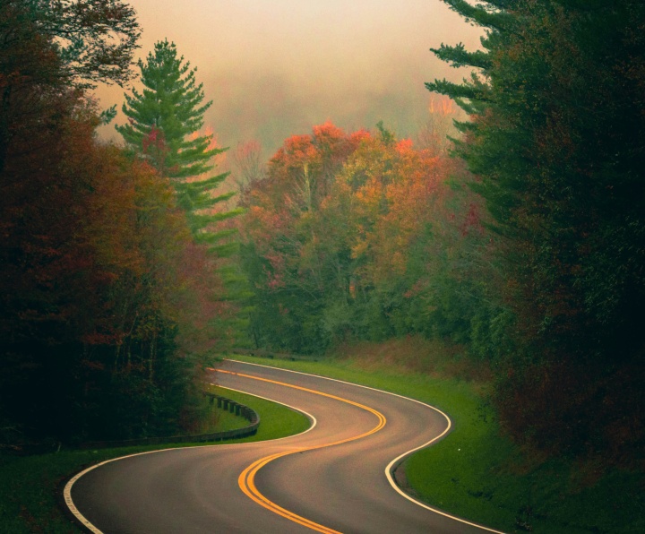 a road winding through green and orange trees