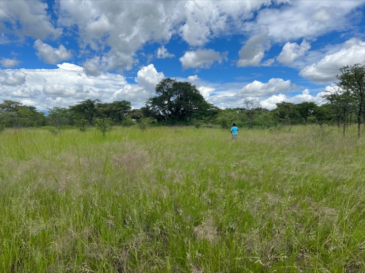 Kadoma, Zimbabwe