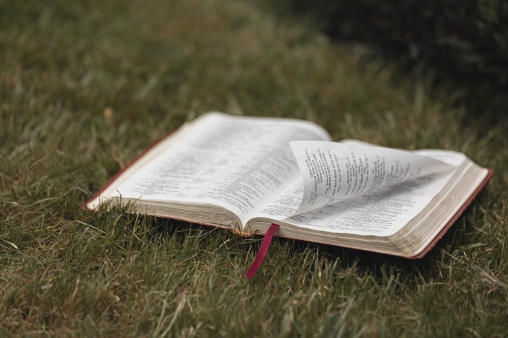 an open Bible sitting in the grass