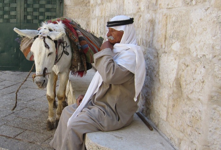 an old man wearing robes with his eyes closed seated on a stone bench with a donkey standing to his side