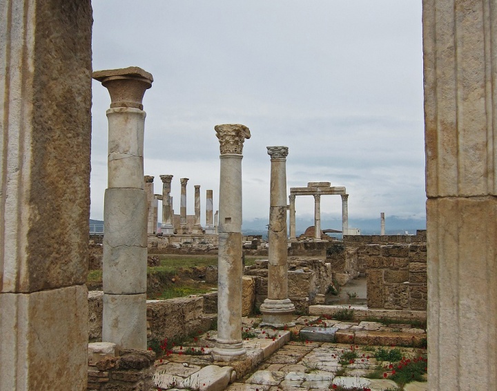 ruins of pillars in Laodicea