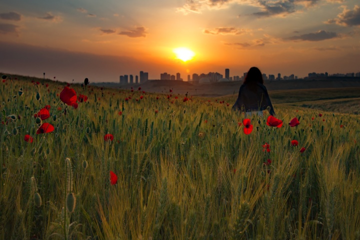 A person walking in a field outside of a city.