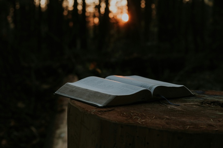 An open Bible on a log.