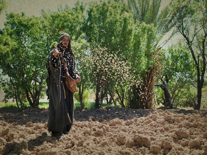 A photo illustration of a man throwing seed on the ground.