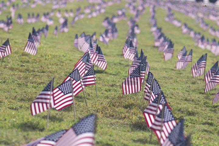 Small American flags stuck in the ground at a cemetery. 