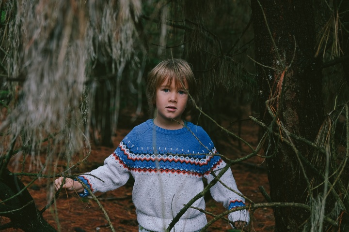 A little boy standing by trees in a forest.