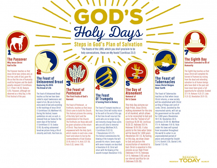 Bible infographic - God's Holy Days: Steps in God's Plan of Salvation Infographic