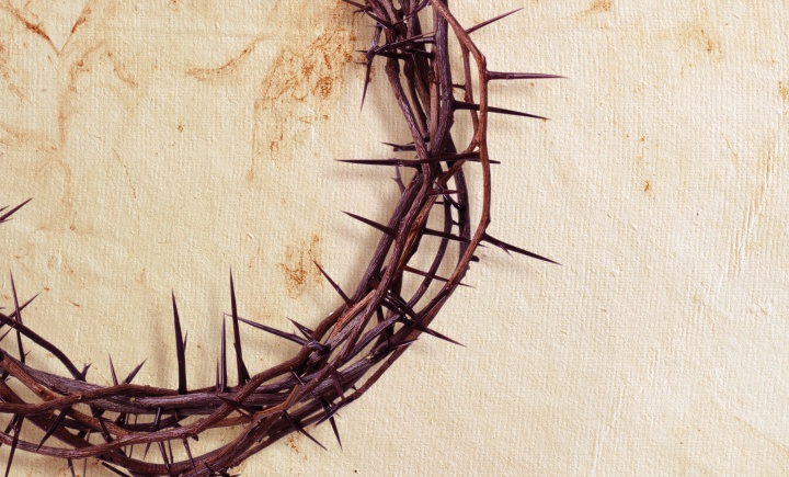 Crown of thorns.