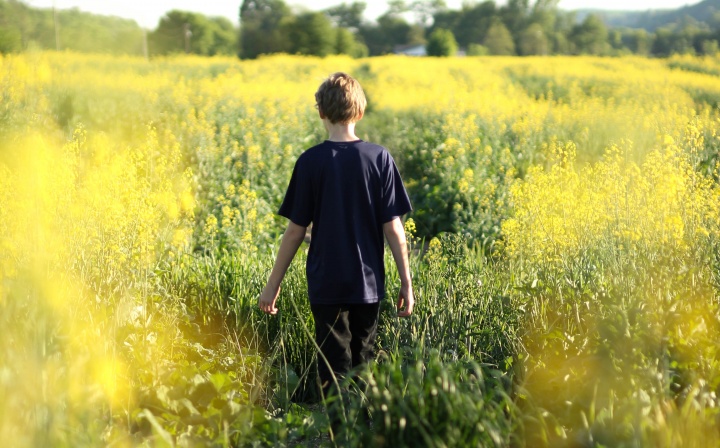 A young boy walking in a field of yellow flowers.