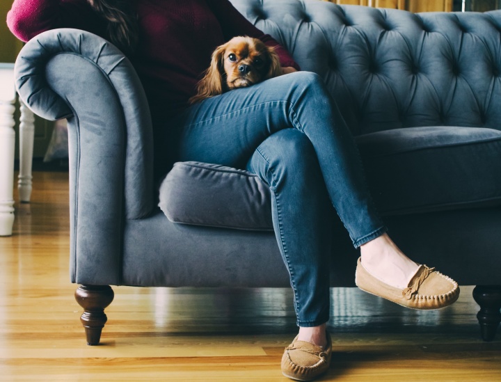 A woman sitting on a couch holding a small dog in her lap.