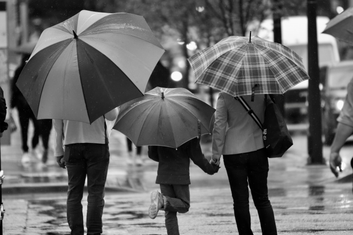 A family walking in the rain while holding umbrellas.