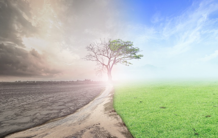 An photo illustration of dry desolate ground becoming green and dead tree growing leaves.