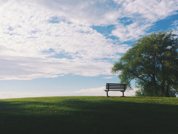 Photo of an empty park bench in a grassy park next to a tree.