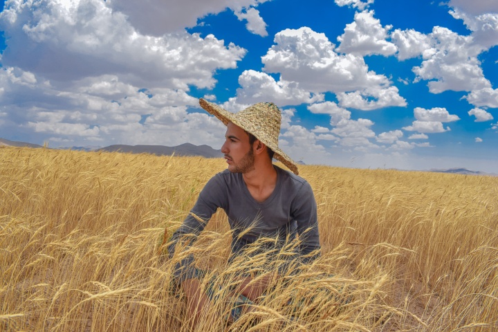 A man wearing a straw hat sits in a grain field under a blue sky dotted with clouds.