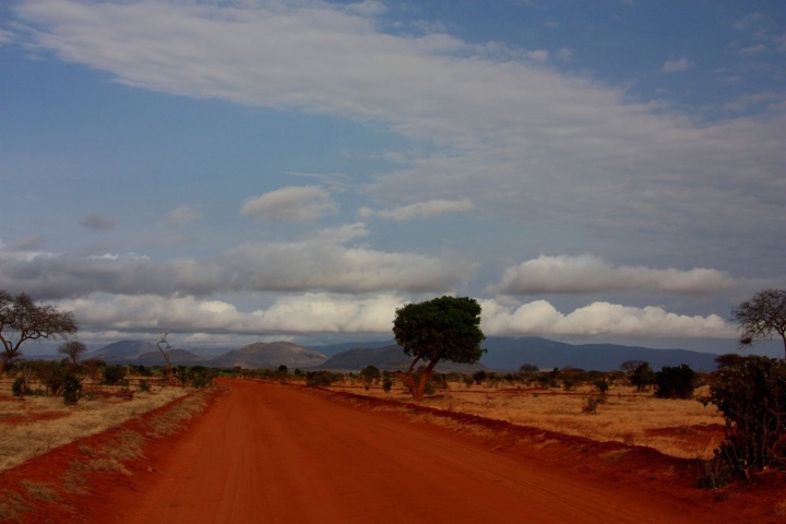 a landscape of Mombasa, Kenya with a red earth road, trees, shrubs and distant mountains