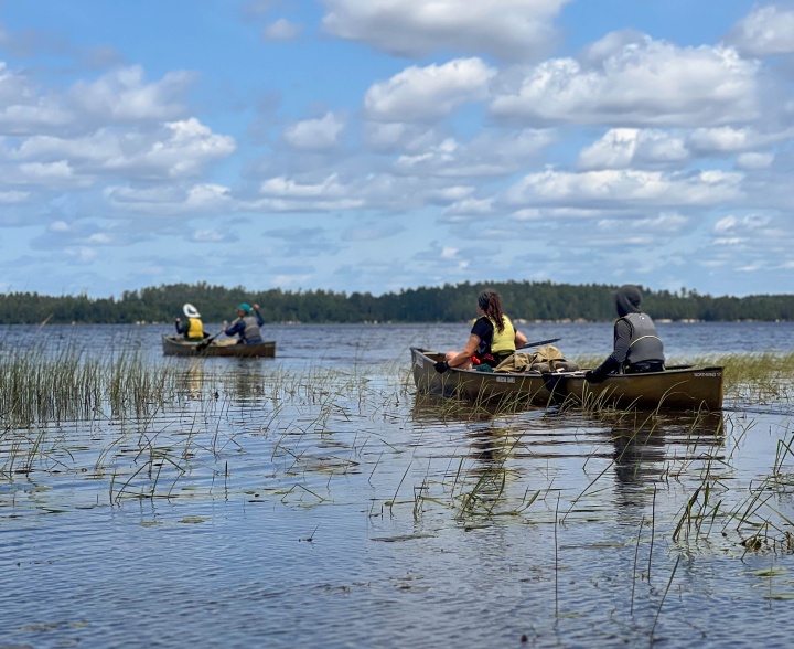 two canoes with two people in each traversing calm waters under a blue sky with fluffy white clouds